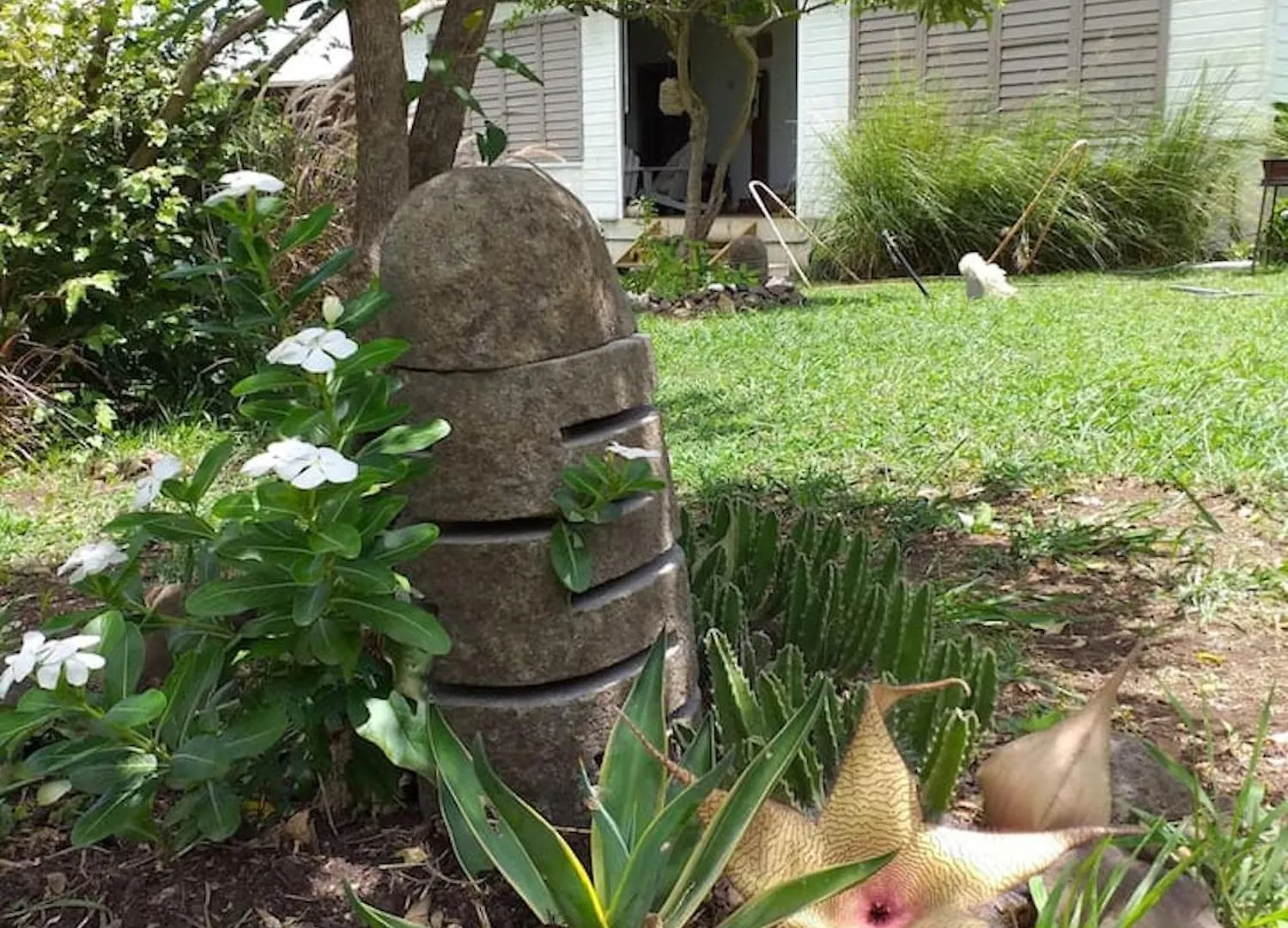 Villa Moderne Avec Piscine A Le Vauclin Martinique