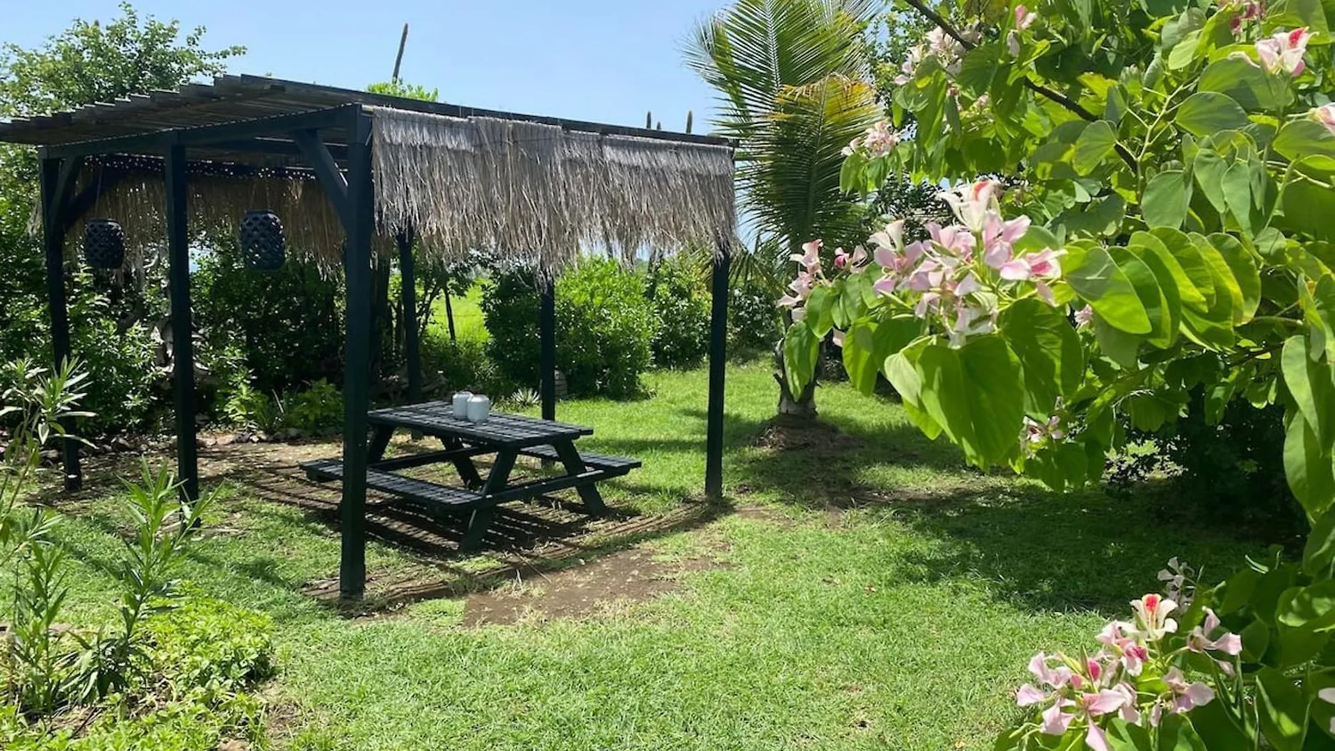 Villa Moderne Avec Piscine A Le Vauclin 0*,  Martinique